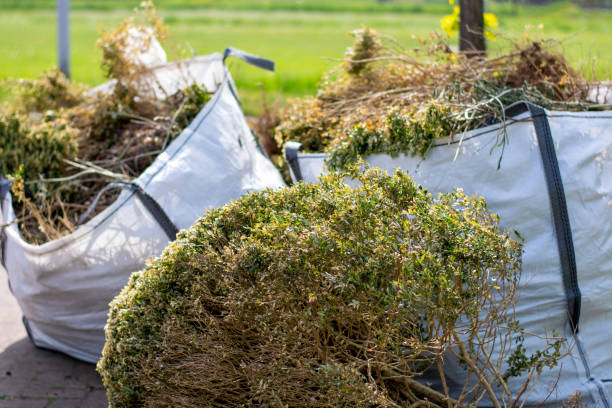Best Junk Removal Near Me  in Point Pleasant, WV